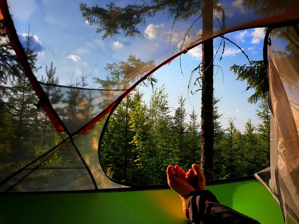 Tentsile Stingray puumajoite 3 hengen teltta Kinkamon pirtti